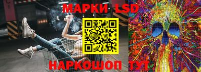 PSILOCYBIN Заволжье