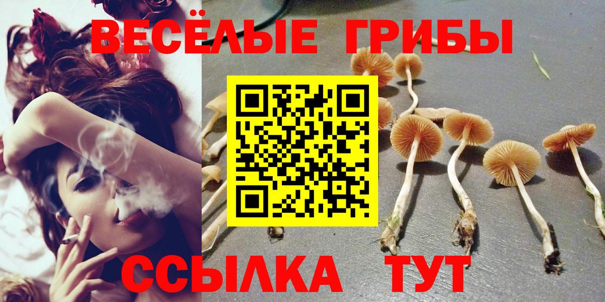 сколько стоит  Вход с VPN  Лангепас  Галлюциногенные грибы Psilocybe 