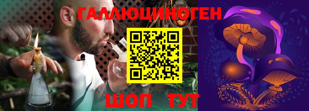Псилоцибиновые грибы Psilocybe Лангепас